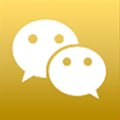 微信图标 商务版 80个-iPA破解资源站